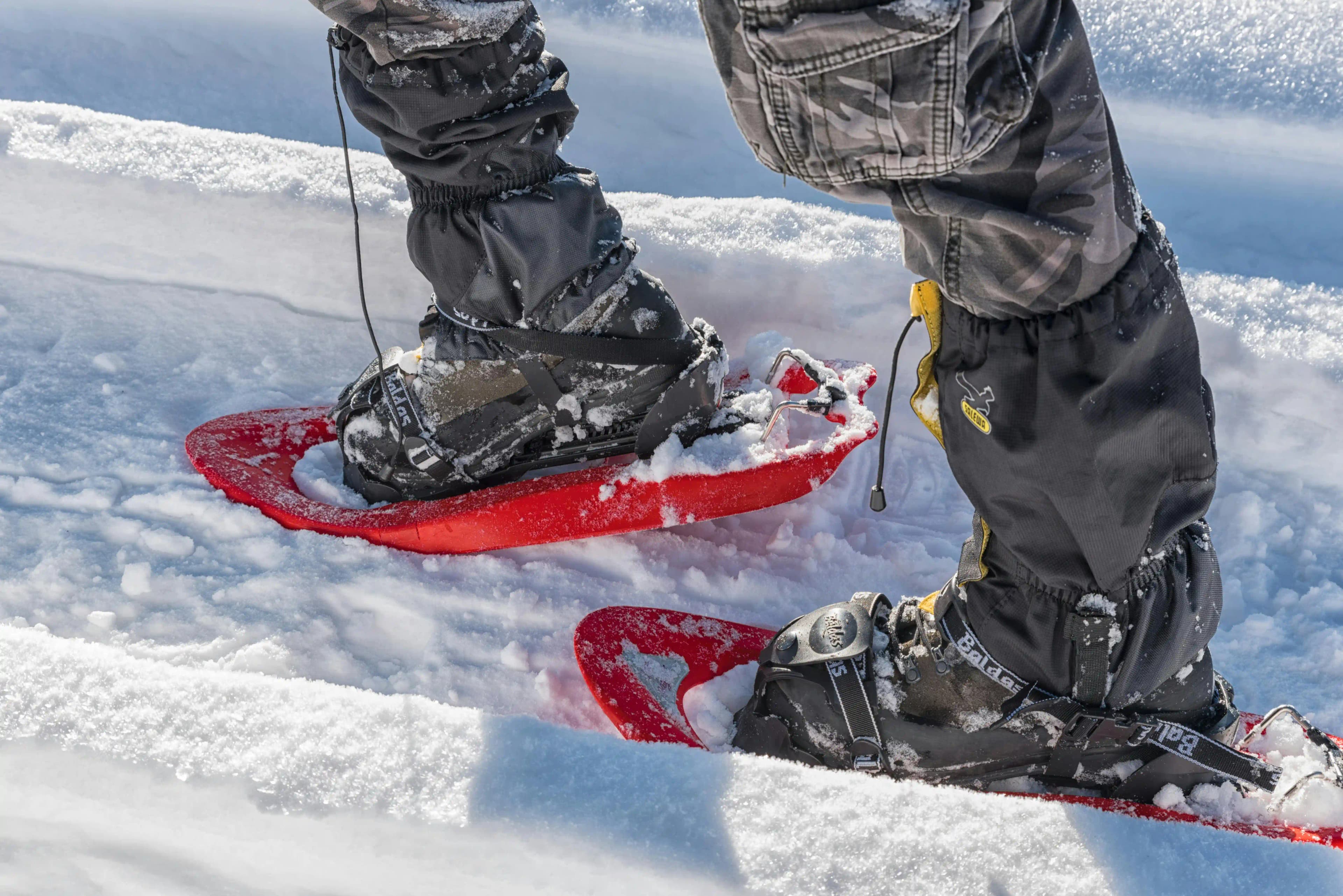Snowshoeing Adventure